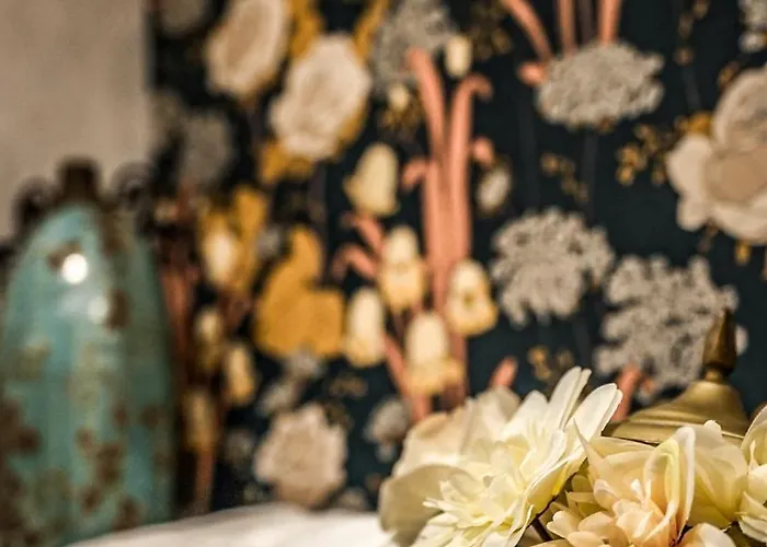 Dri Bed and Breakfast