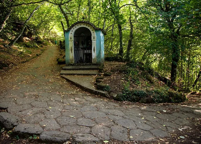 Dri Bed and Breakfast Rocca Di Papa